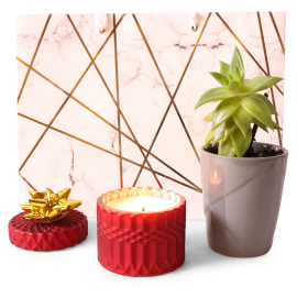 Peaceful Candle and Succulent Gift Set