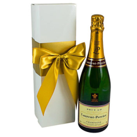 Cant Forget your Love