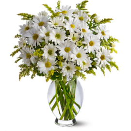 Enchanting White Blooms