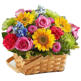 Spring Has Sprung Basket