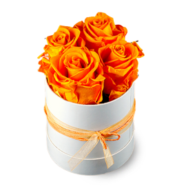 Orange Roses Display