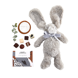 Stuffed Bunny and Chocolates