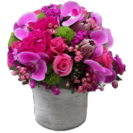 Enchanted Garden and Ceramic Vase