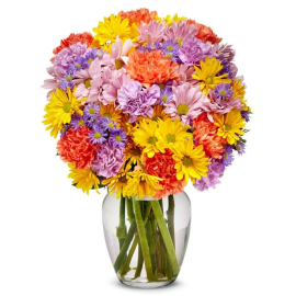 Carnation and Daisy Dreams