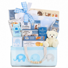 Celebrate New Life Gift Basket (Boy)