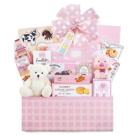 Celebrate New Life Gift Basket (Girl)