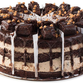 Chocolate and Peanut Butter Perfection Cake