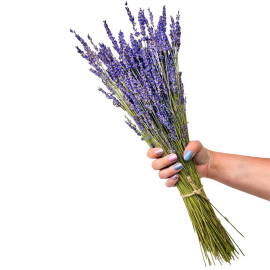 Dried Lavender Bouquet
