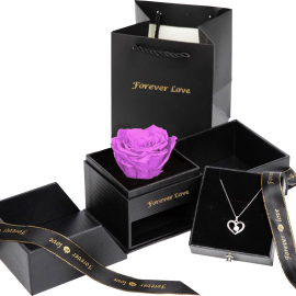Everlasting Love Rose and Necklace
