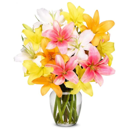 Lovely Lilies in Spring