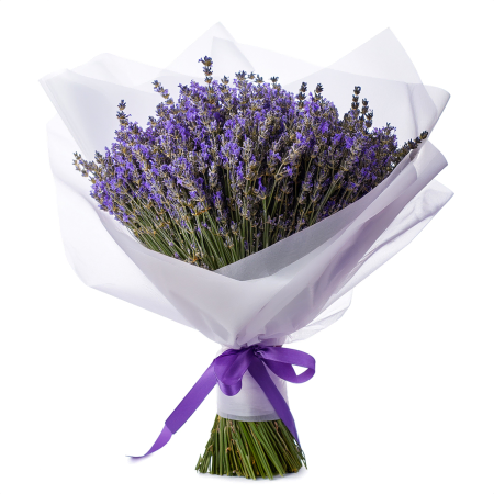 Bouquet de lavande élégant