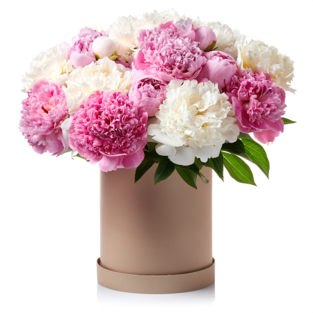 Composition de pivoines en boîte