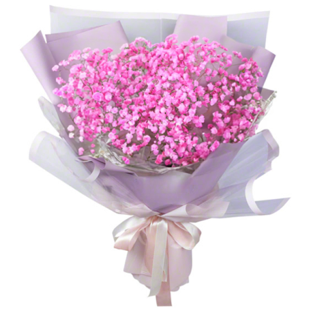 Bouquet de gypsophiles roses
