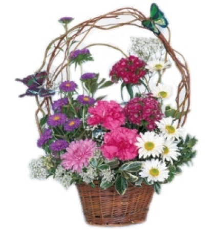 Garden Oasis panier de fleur