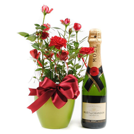 Bulles et fleurs