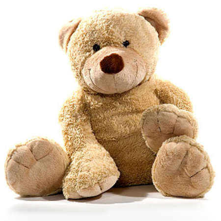 Teddy classique