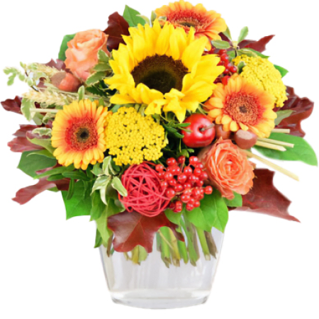 Célébration du Tournesol Doré