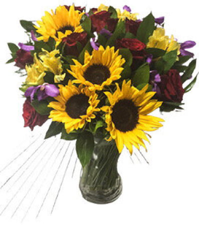 Prairie de tournesols