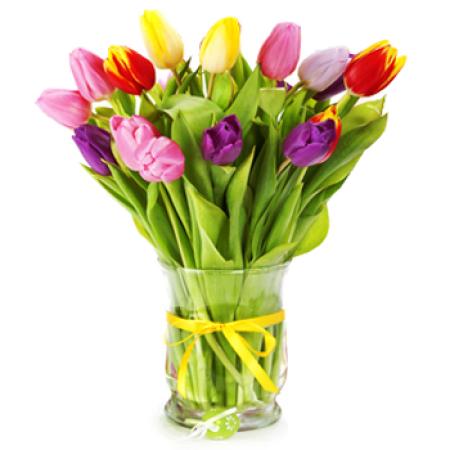 Tulipes mixtes
