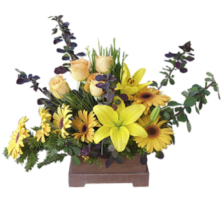 Après-midi Lemonade