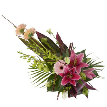 Plus beaux souvenirs