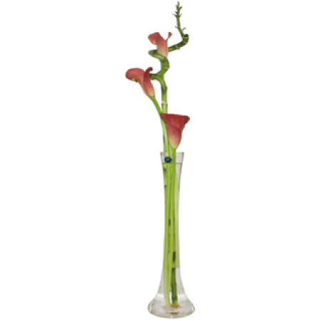 La Calla Lily moderne