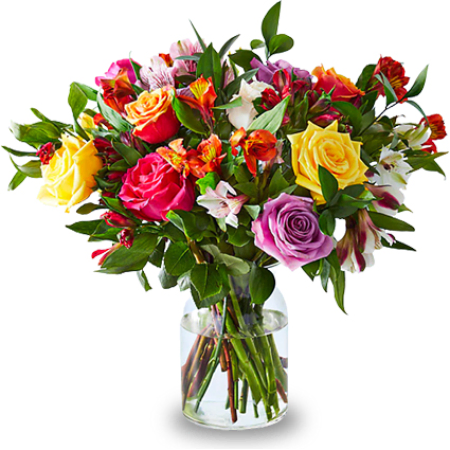 Sunshines Sweet Kisses